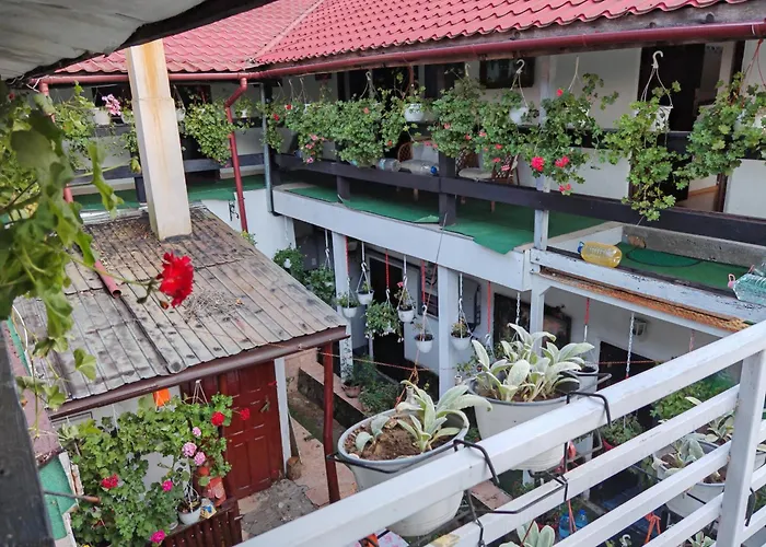 Pensiunea Casa montana Sasca Montană, România
