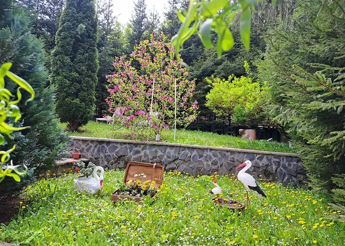 Pensiunea Colina Poiana Braşov, România