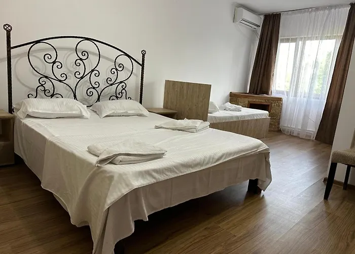 Pensiune Restaurant Rustic Rm Sarat Rîmnicu Sărat, România