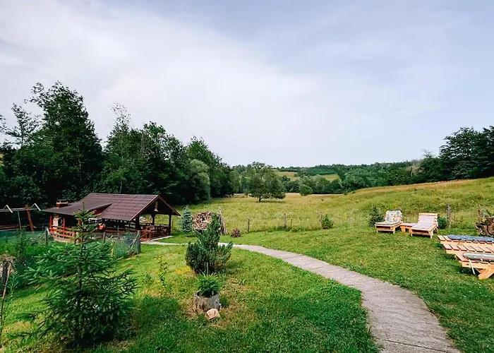 Cabana Trei Brazi Cacica, România