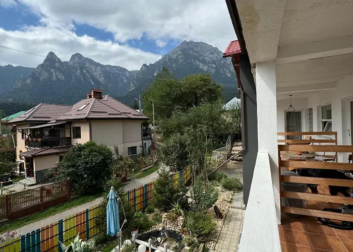 Casa David