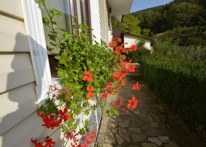 Casa Irina