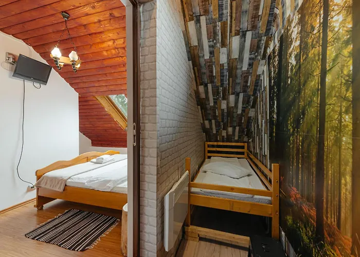 Cabana Visul Muntilor Belis
