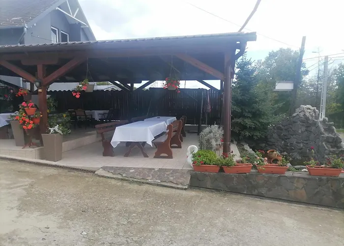 Pensiunea Cetatea