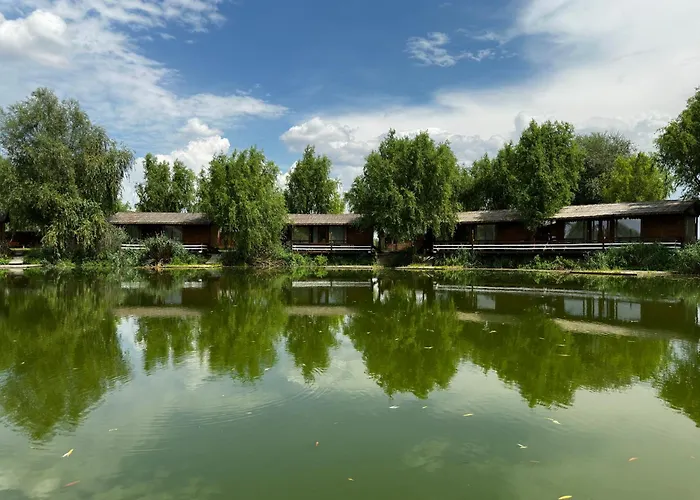 Zaga Zaga Sat Hotel Tecuci, România