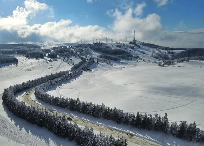 Franzdorf Alpin Hotel Văliug, România