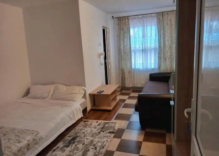 Restaurant Pensiunea La Vila Maria Baia de Fier, România