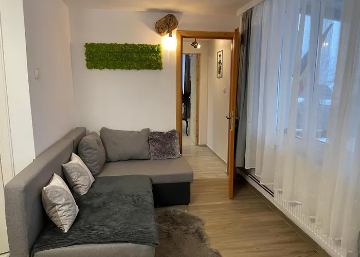 Cabana La Munte Toplita , Romania