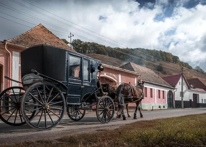 Valea Verde Retreat Transilvania Cund, România