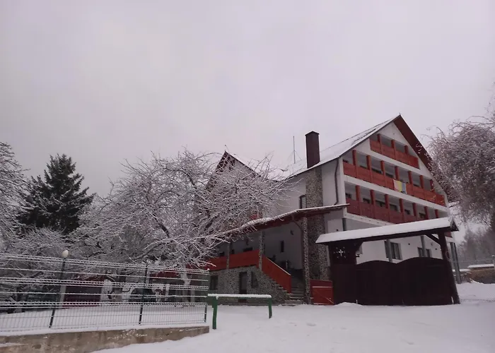 Casa de vacanță Perla Colibitei