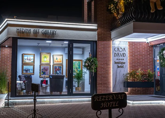Casa David