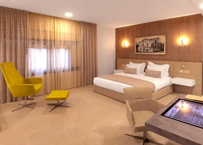 Hotel Vila Class Satu Mare, România
