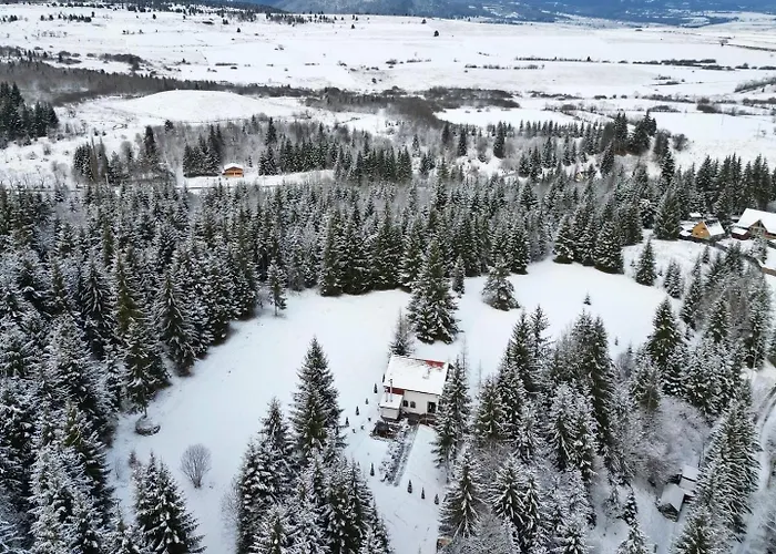Casa Cifu Toplita
