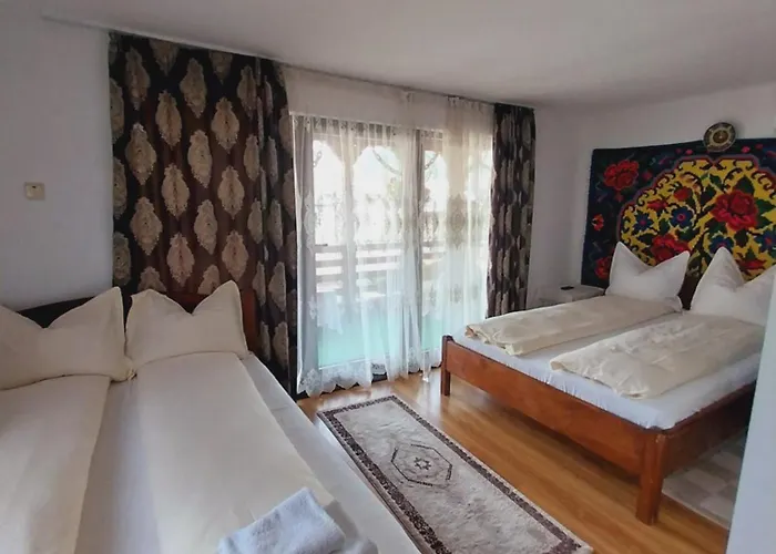 Pensiunea Rustic Oncesti, România