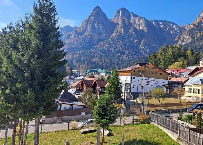 Vila Panoramic Busteni