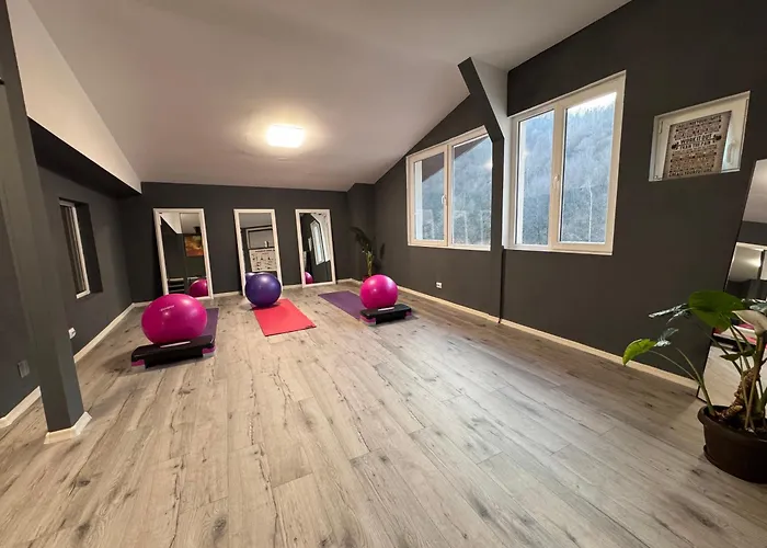 Vila Roca Hotel&SPA Apuseni Valea Drăganului, România