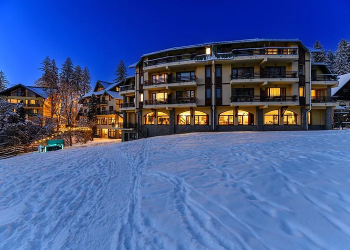 Hotel Casa Viorel Jacuzzi & Saunas