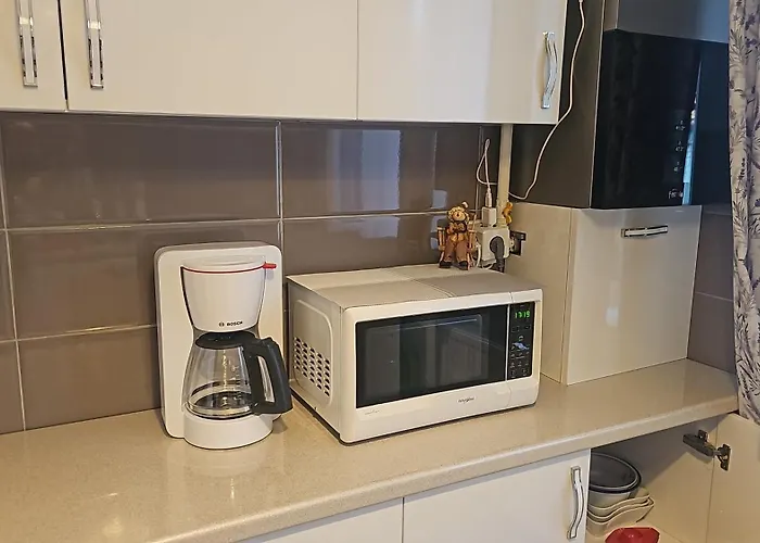 Apartament Alina - la parter&parcare rezervata
