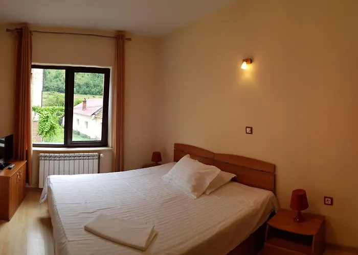 Pension Camelia Băile Herculane, România