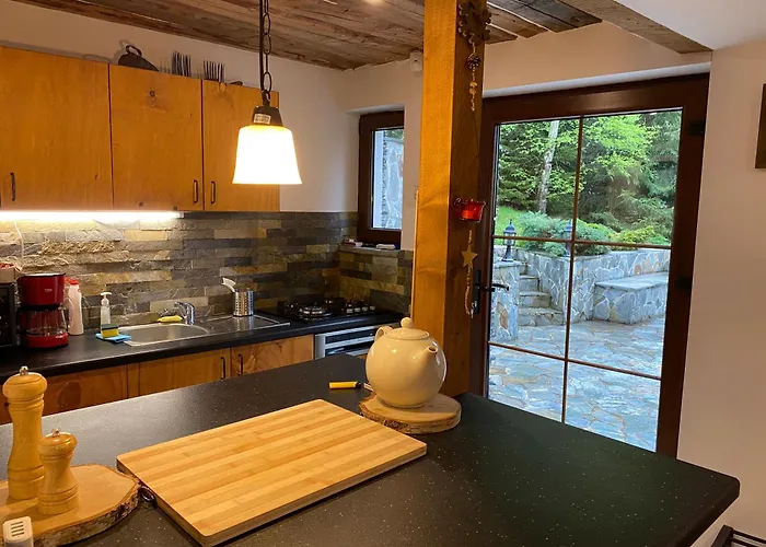 Mountain Chalet - Cabana la Muntele Baisorii Muntele Cacovei , România
