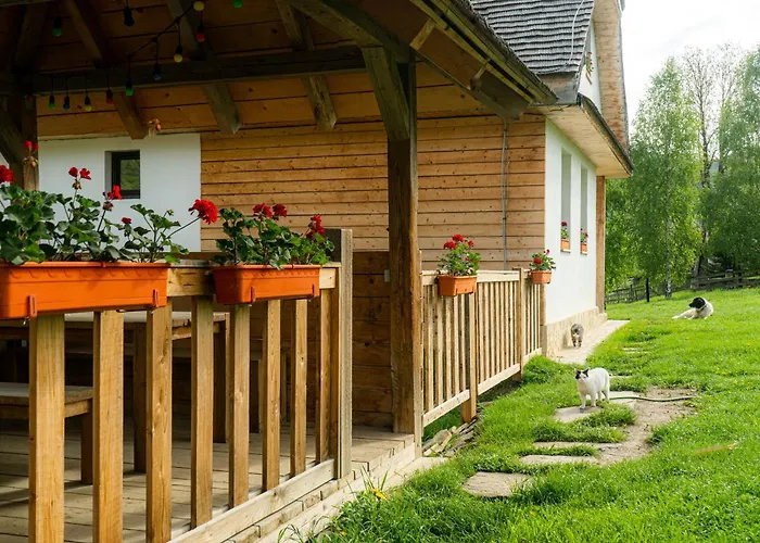 Pensiunea Hodăița