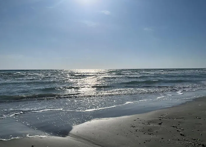Apartments Excelsior Mamaia Nord