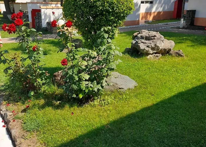 Complex DUNAREA