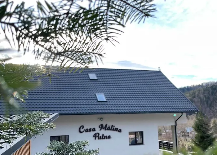 Casa Mălina Putna