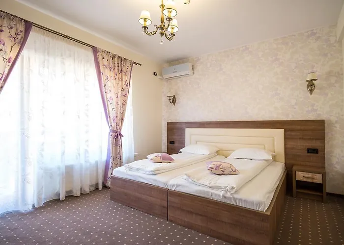 Pensiunea Royal Spa Bistrita , România