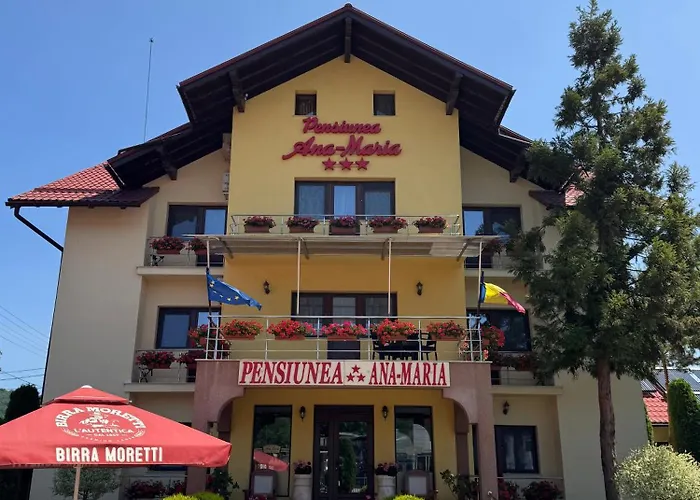 Pensiunea Ana Maria