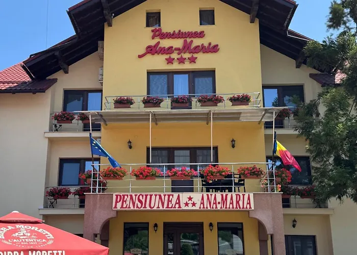 Pensiunea Ana Maria