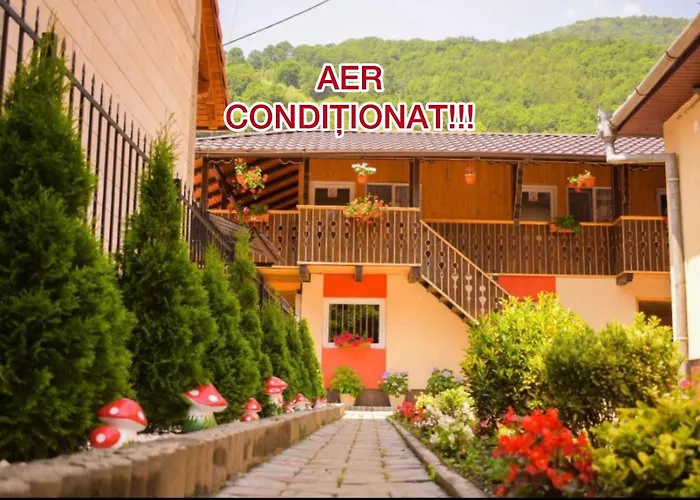 Pensiunea Casa Ioana