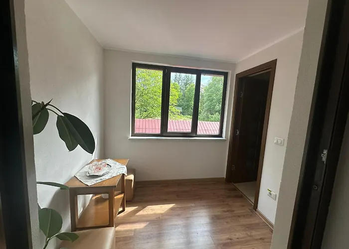 Pensiunea Casa Domniței Sucevița, România