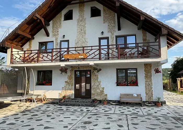 Pensiunea Georgiana Raucesti, România
