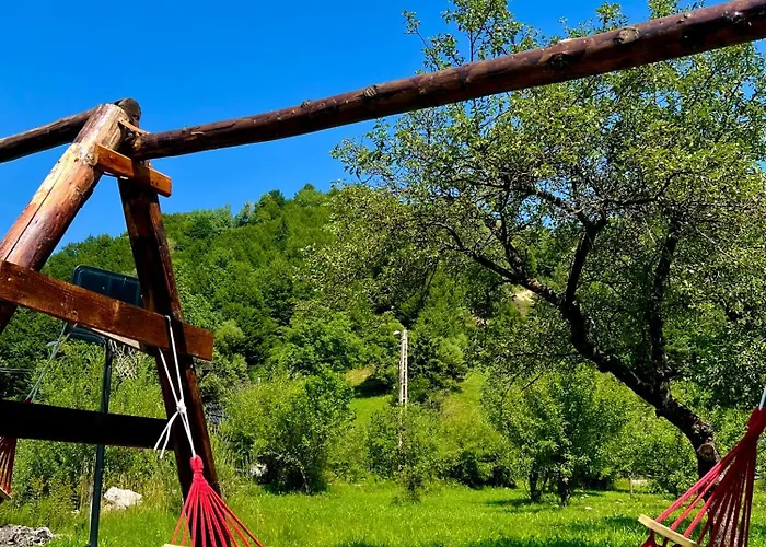 Vila Cretu Bran Bran , România