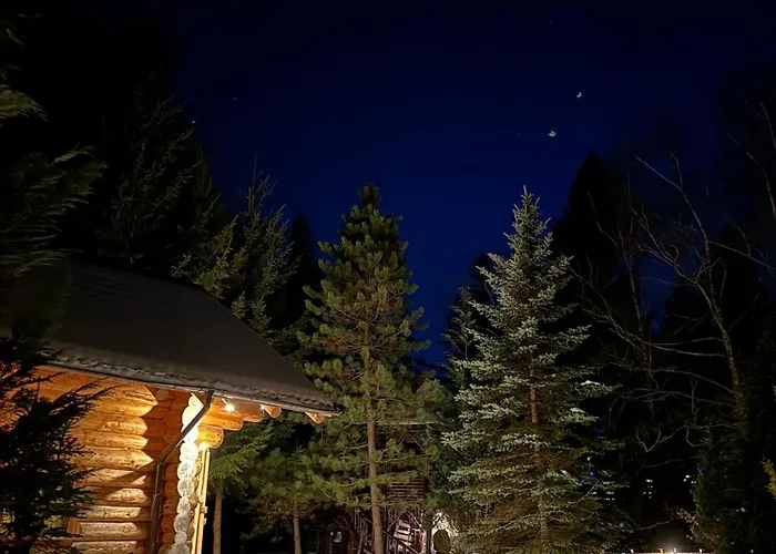 Cabane- Vila Crinul si Teodor Poiana Brasov