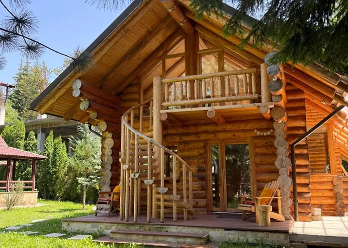 Cabane- Vila Crinul si Teodor Poiana Brasov