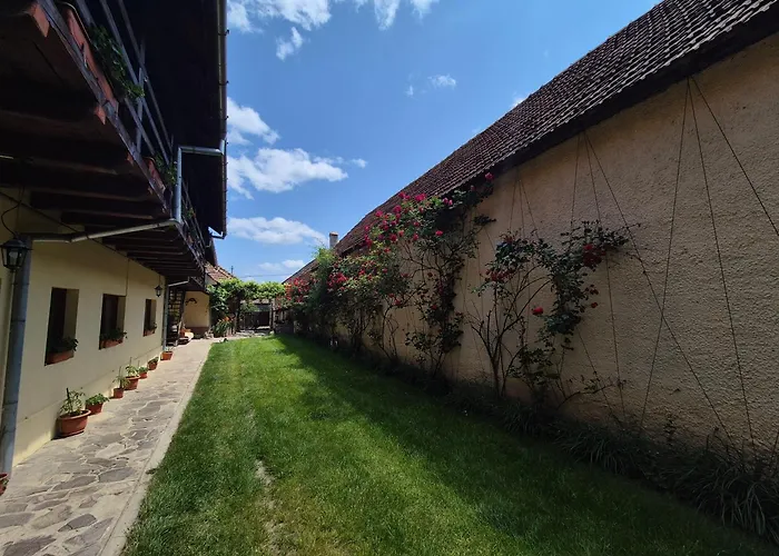 Pensiunea Leia Cârțișoara