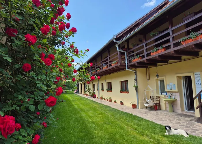 Pensiunea Leia Cârțișoara
