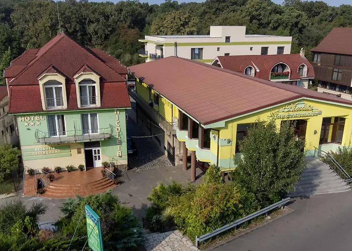 Hotel Nicoleta