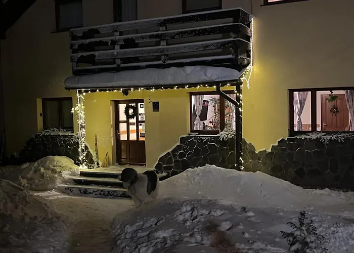Pension Tofalvi
