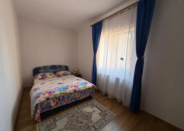 Pensiunea Vladut Timişoara, România