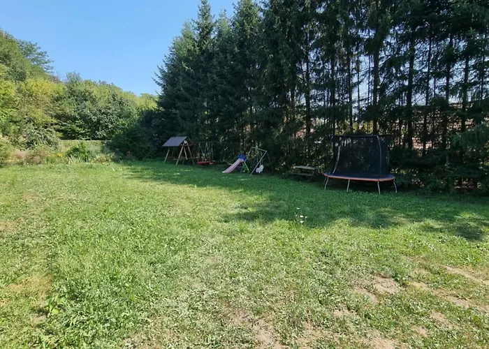 Pensiunea Paradis Borobanesti, România
