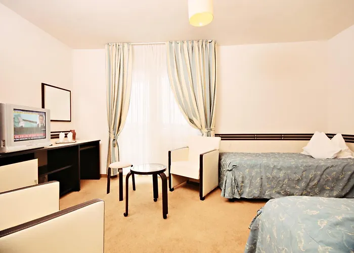 Hotel International