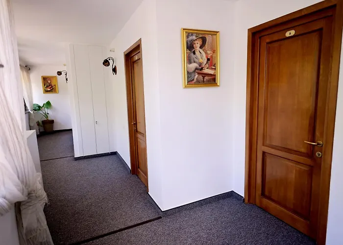 Pensiunea Casa Doamnei Voronet