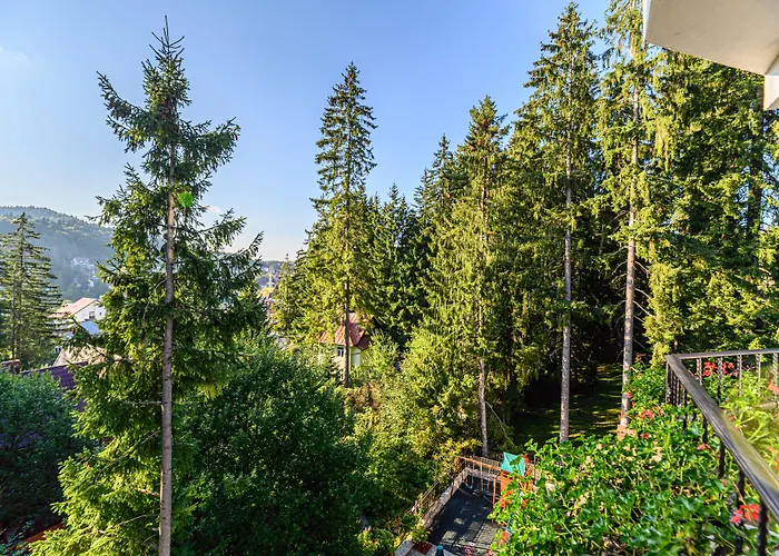 Pensiunea Hilltop Predeal, România