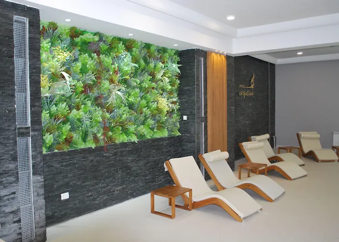 Hotel Carpat Inn