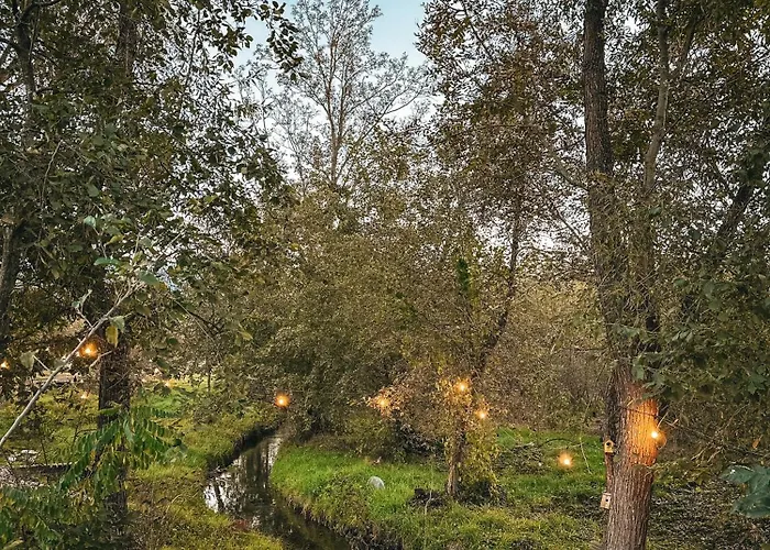 Porumbacu Garden Porumbacu de Sus, România