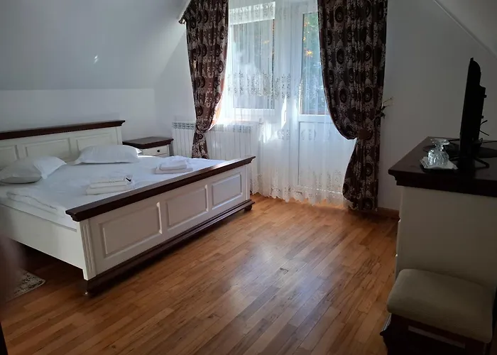 Pensiunea Putnisoara, România
