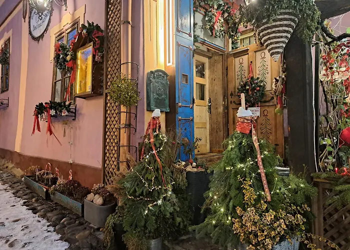Casa Cositorarului Boutique Pension